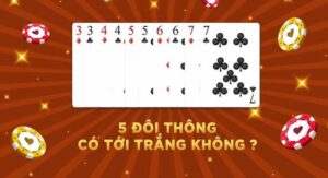 5 Đôi Thông Có Tới Trắng Không & Mẹo Hốt Bạc Với 5 Đôi Thông